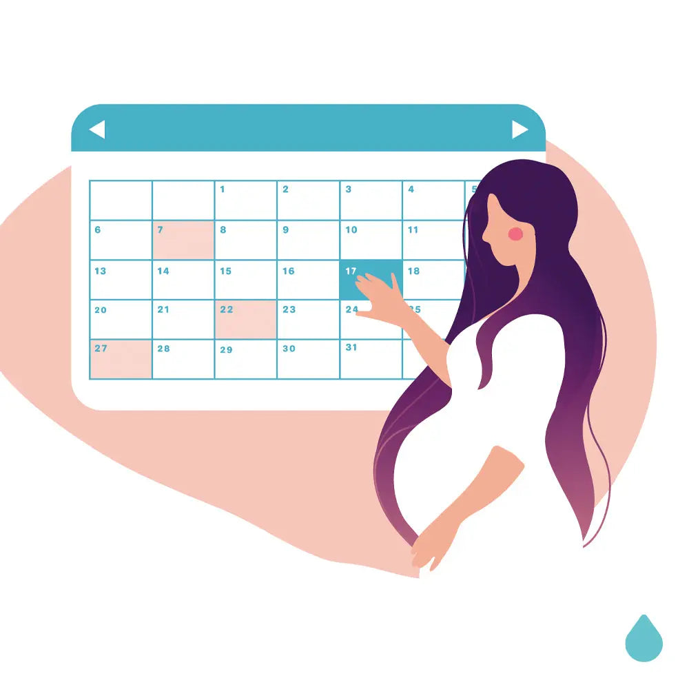 Fechas claves Aqua Baby